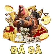 Tối ưu di động